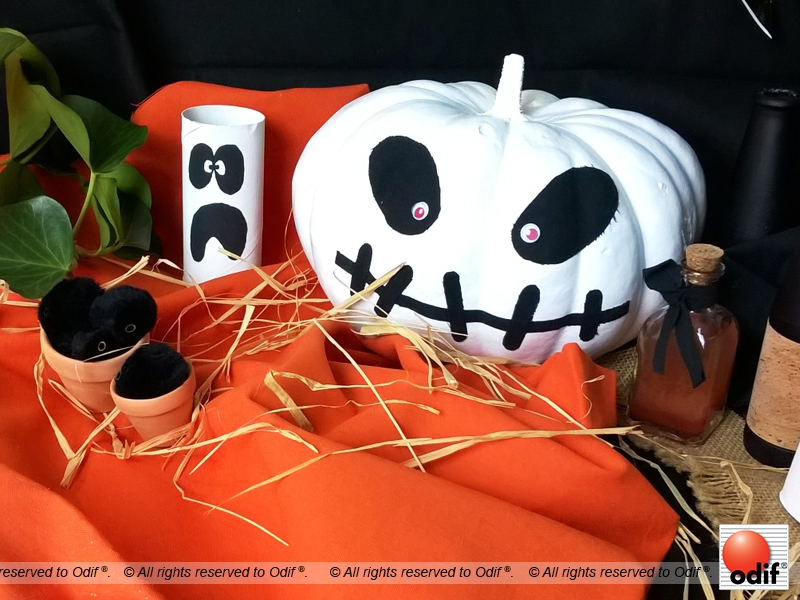 Photo : DIY - Jack O’Lantern