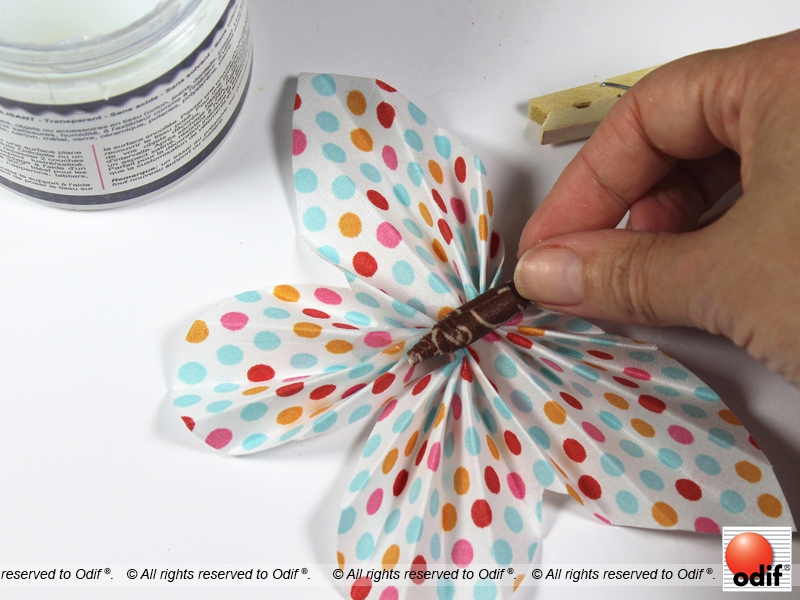 Step 6