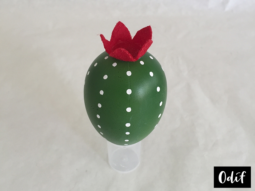 Step 6